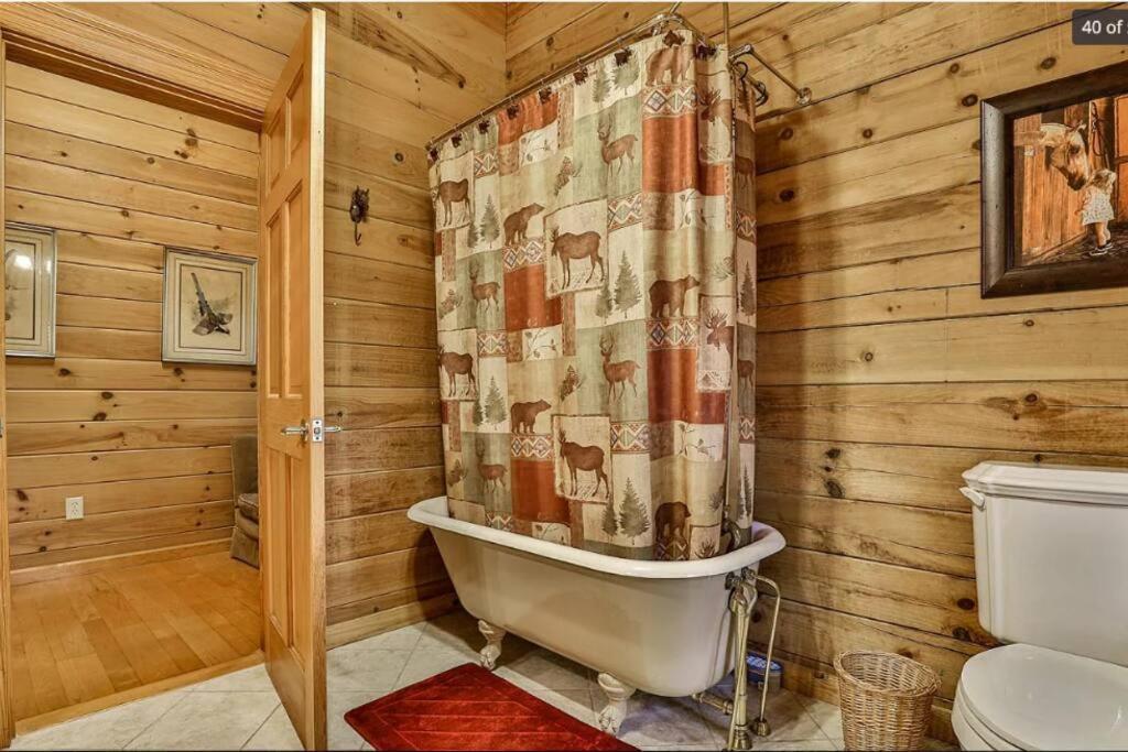 Blue Ridge Bliss- Spacious Cabin, Pets, Hot Tub! Exteriér fotografie
