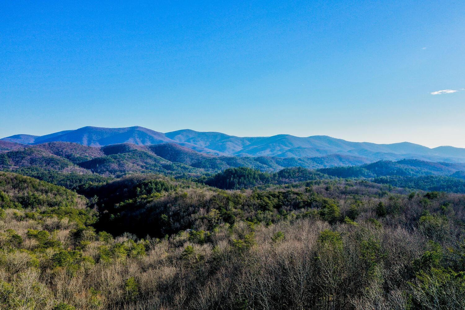 Blue Ridge Bliss- Spacious Cabin, Pets, Hot Tub! Exteriér fotografie